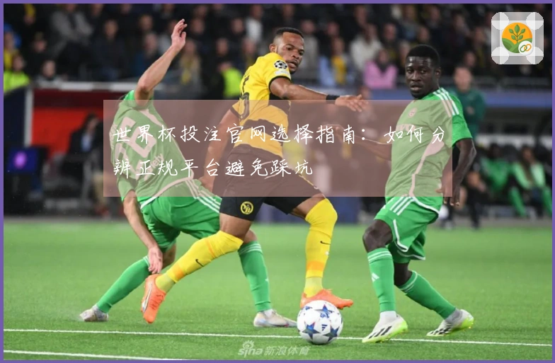 世界杯投注官网选择指南：如何分辨正规平台避免踩坑