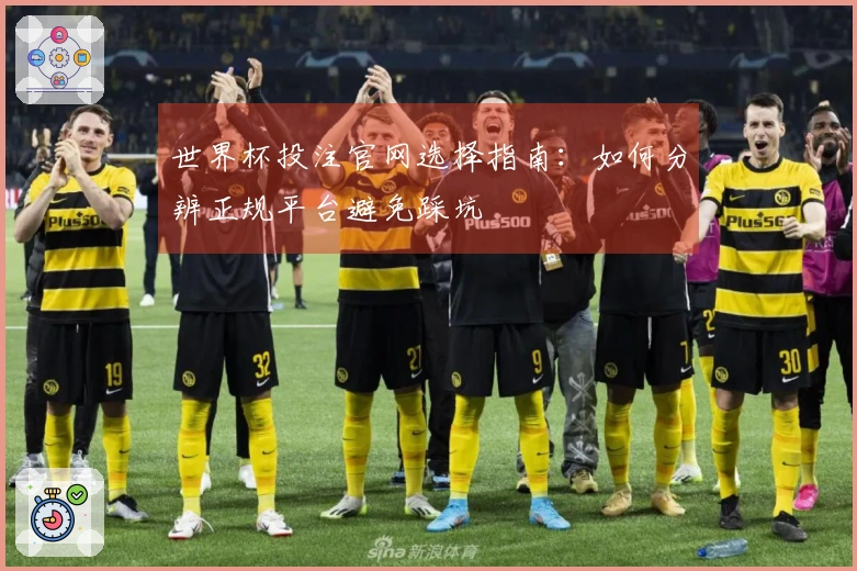 世界杯投注官网选择指南：如何分辨正规平台避免踩坑