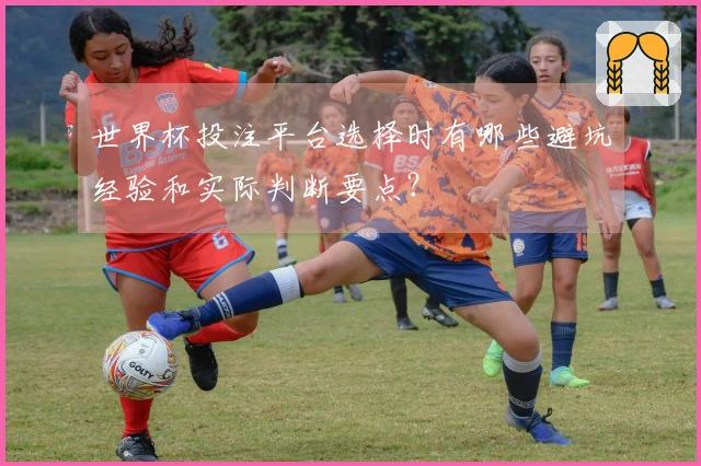 世界杯投注平台选择时有哪些避坑经验和实际判断要点？